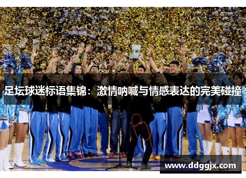 足坛球迷标语集锦：激情呐喊与情感表达的完美碰撞