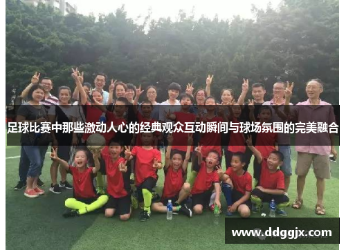 足球比赛中那些激动人心的经典观众互动瞬间与球场氛围的完美融合